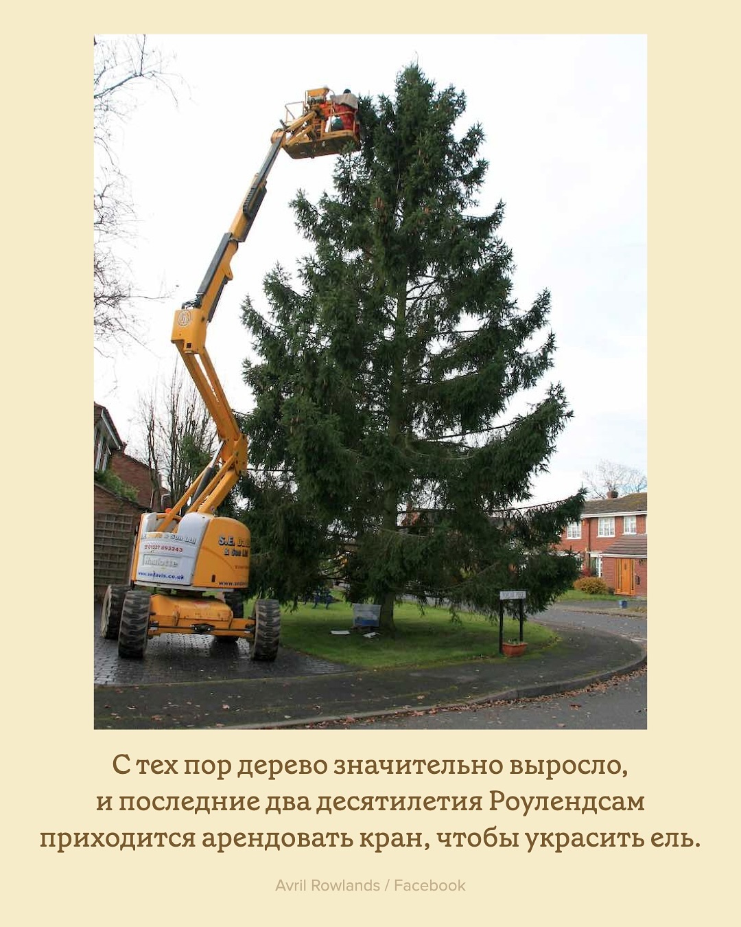 аутсайдеры - Варнет