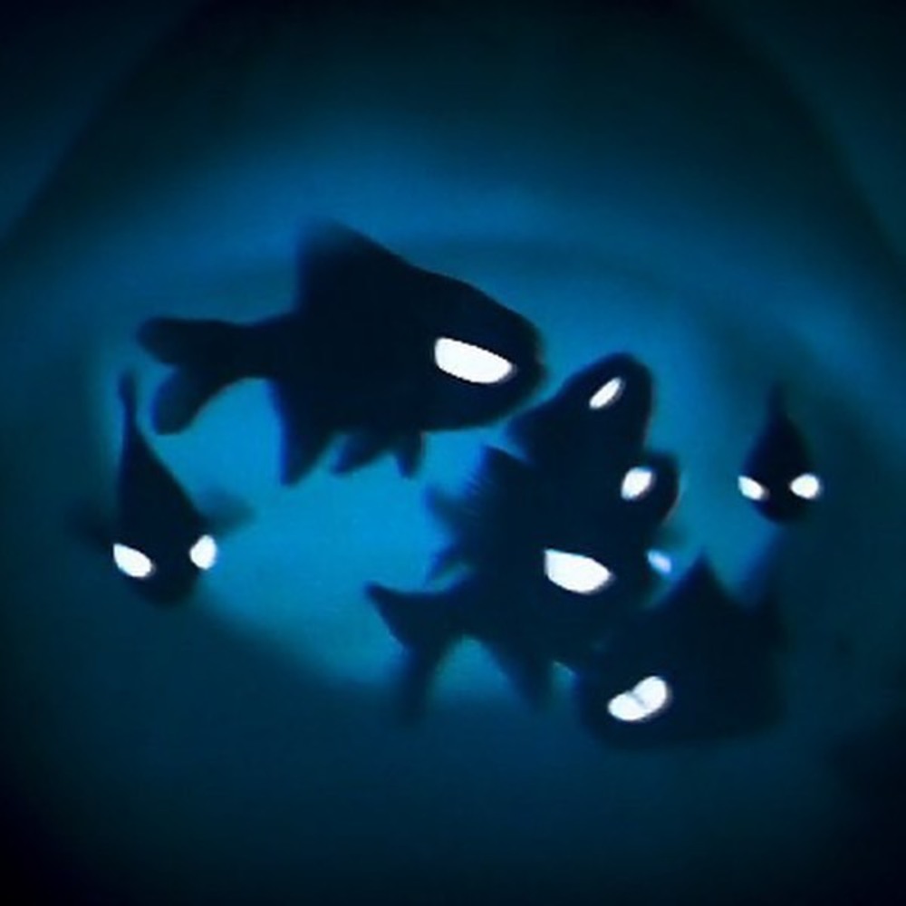 Рыба с фонариком на лбу фото