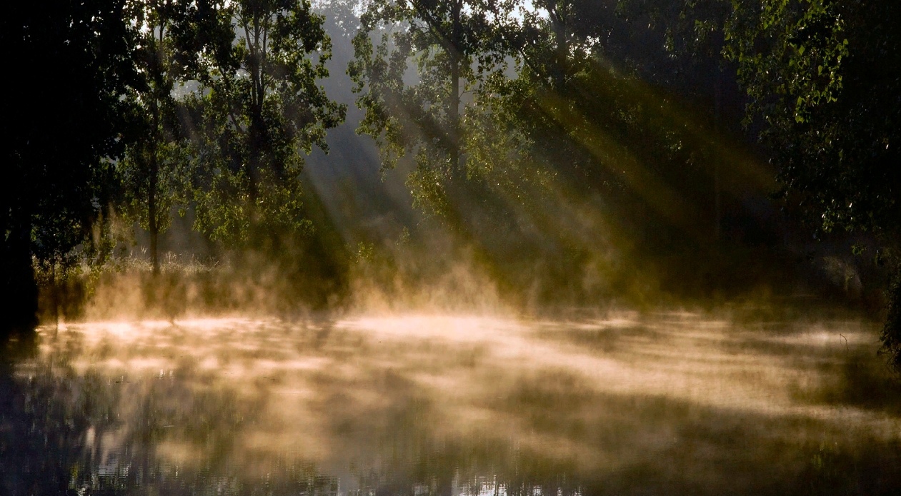 Misty waters