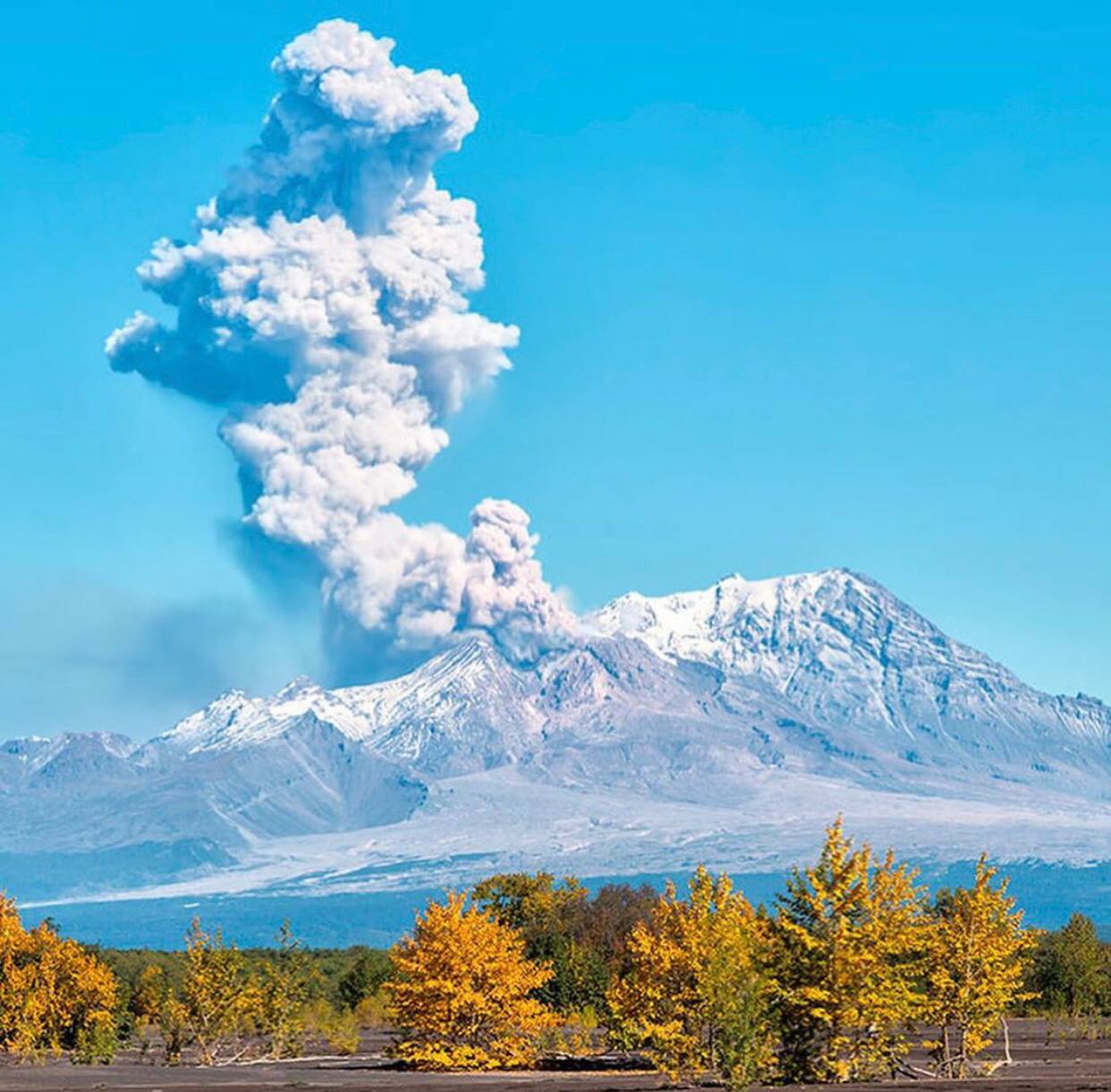 Вулкан на камчатке проснулся фото