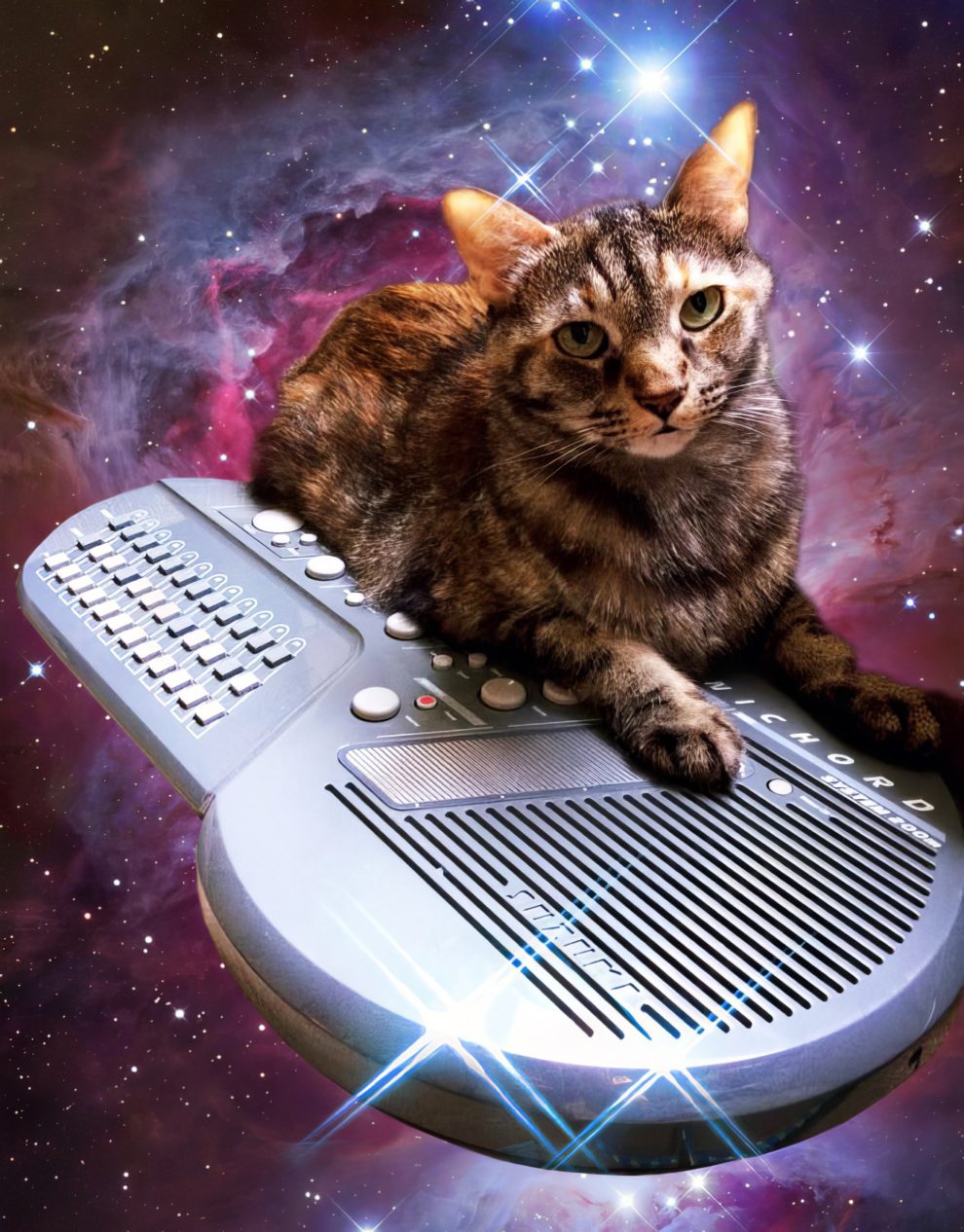 Музыка под кошку. Музыкальный кот. Синтезатор в космосе. Кот на синтезаторе. Музыкальный котенок.