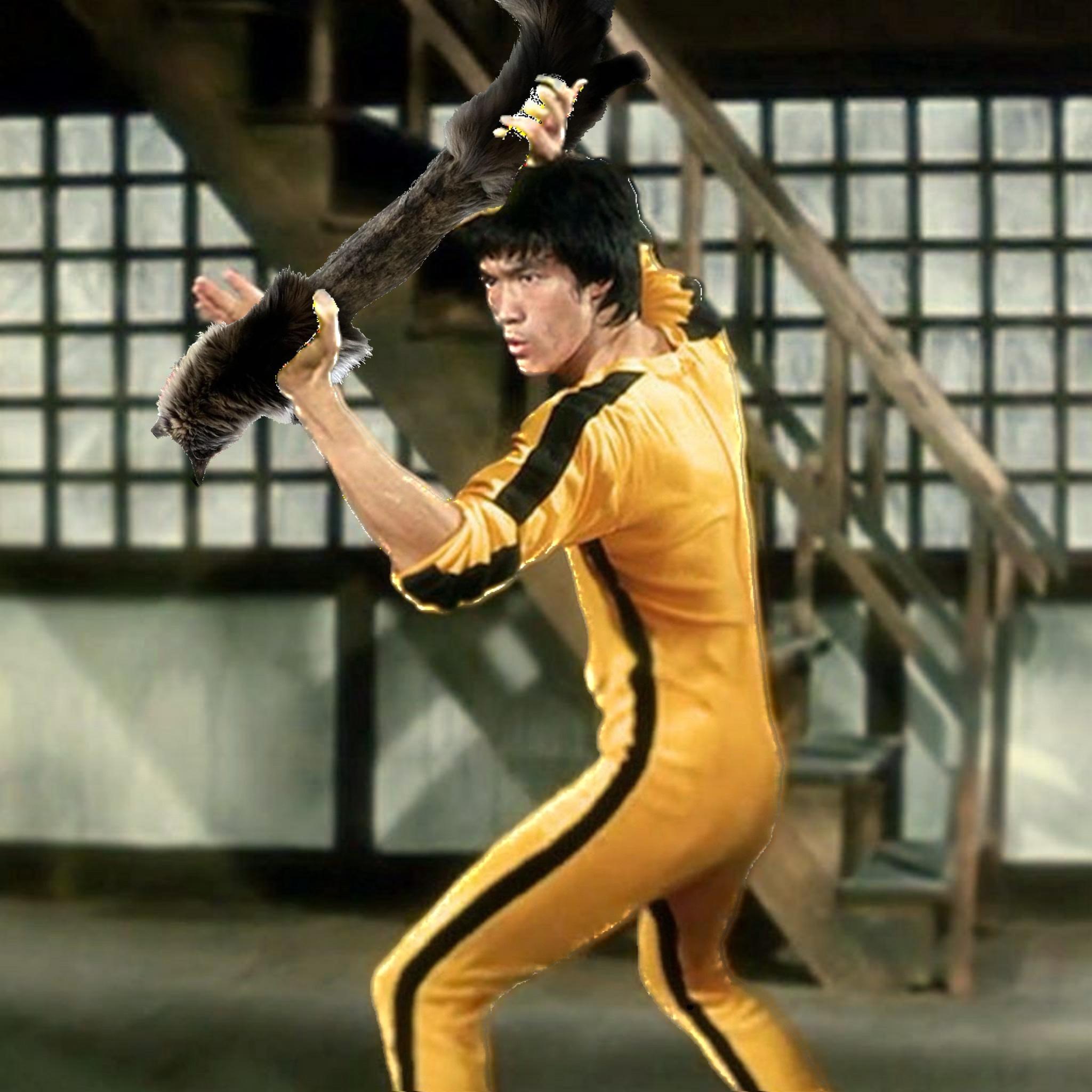 Фу брюс. Брюс ли. Брюс ли кунг фу. Bruce Lee в желтом костюме.